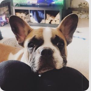 Meet your Posher, Katie